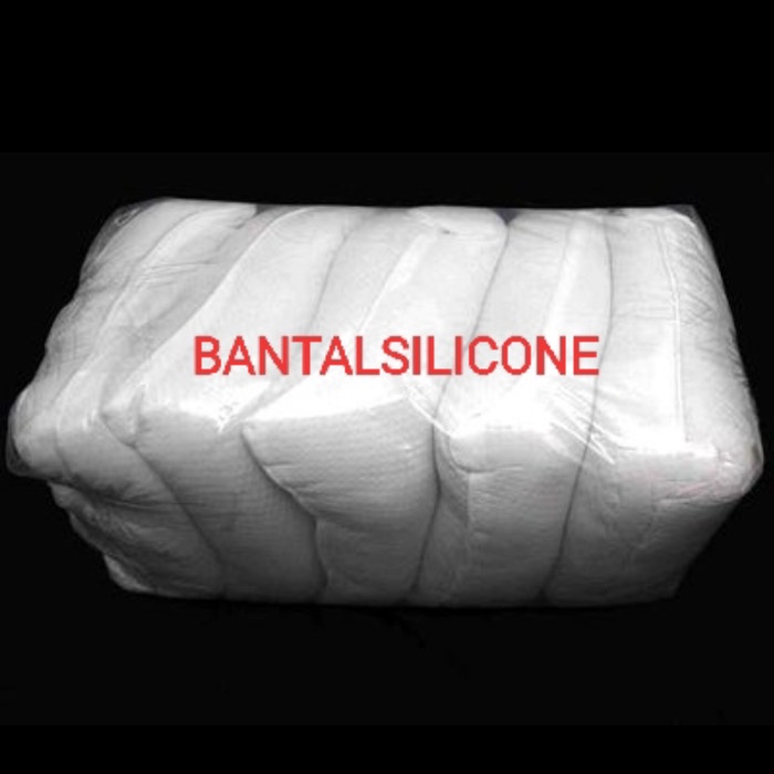 Sofa-Bantal- Bantal 50X50 / Bantal Sofa Silikon 50 Cm X 50 Cm / Insert Bantal -Bantal-Sofa.