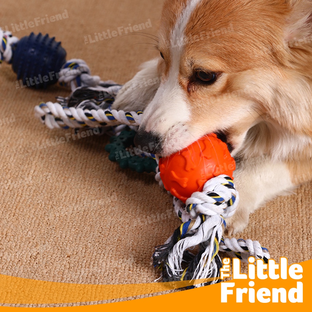 Mainan Tali Gigitan Karet Anjing 2 in 1 Chew Rubber Rope Knot Dog Toy