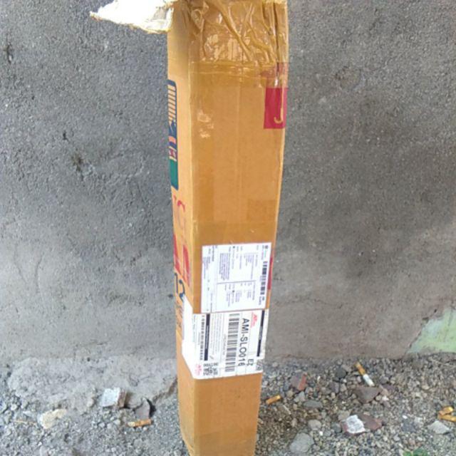 Bibit Mangga Gedong Gincu