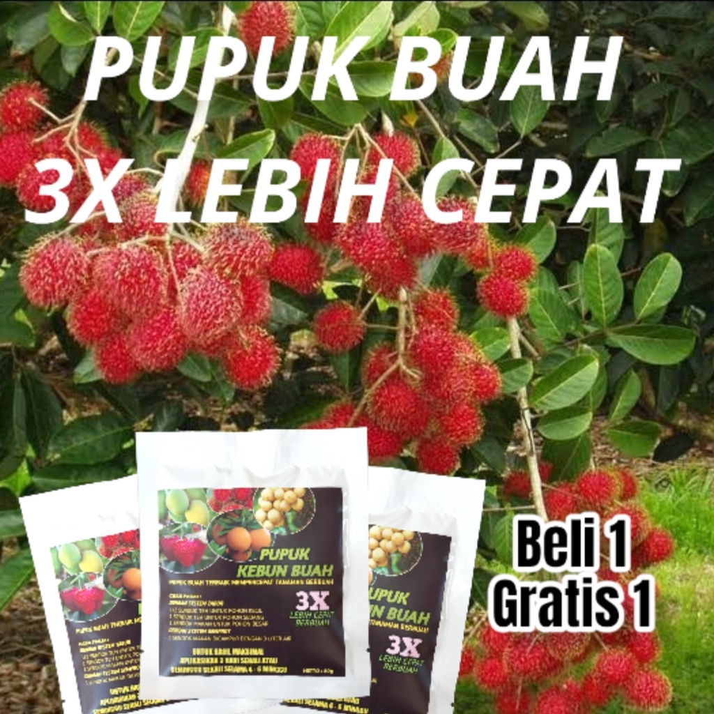 Pupuk Buah Kebun Buah 3X Lebih Cepat Berbuah 50gr