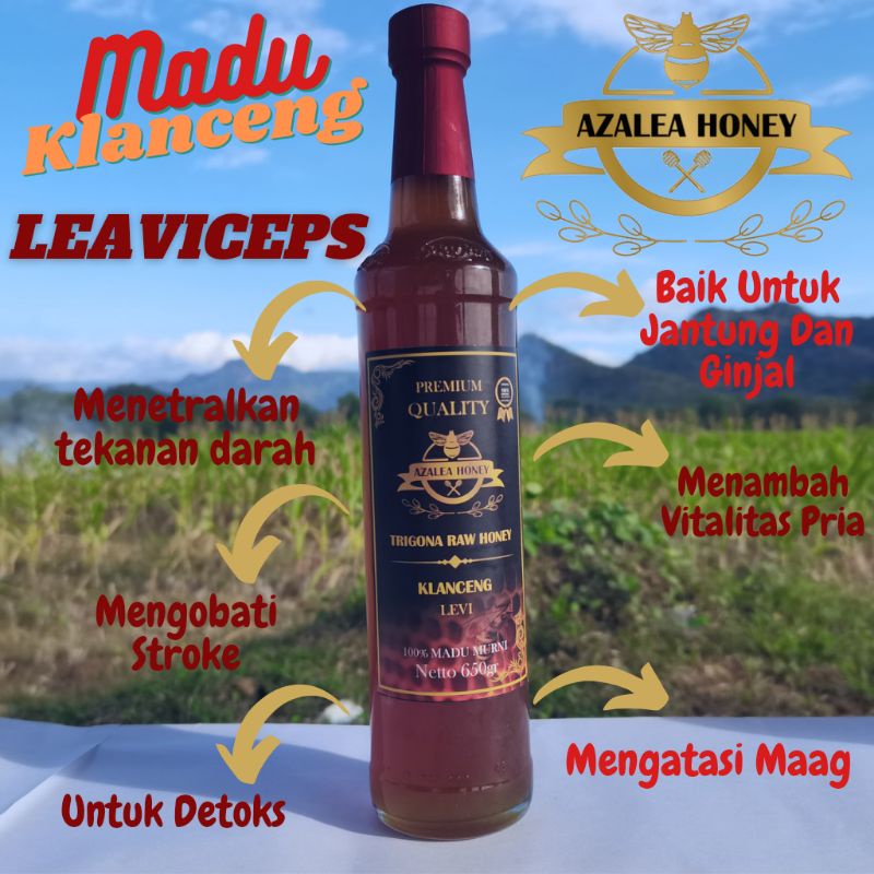 

Madu Klanceng Trigona Kelulut Leavyceps✅650gram‼️Asli Murni Raw Honey 100%✅ Honey 100%✅ Asli