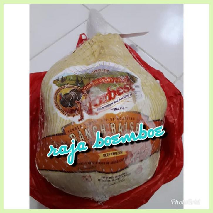 

NORBEST TURKEY IMPORT AYAM KALKUN 1EKOR