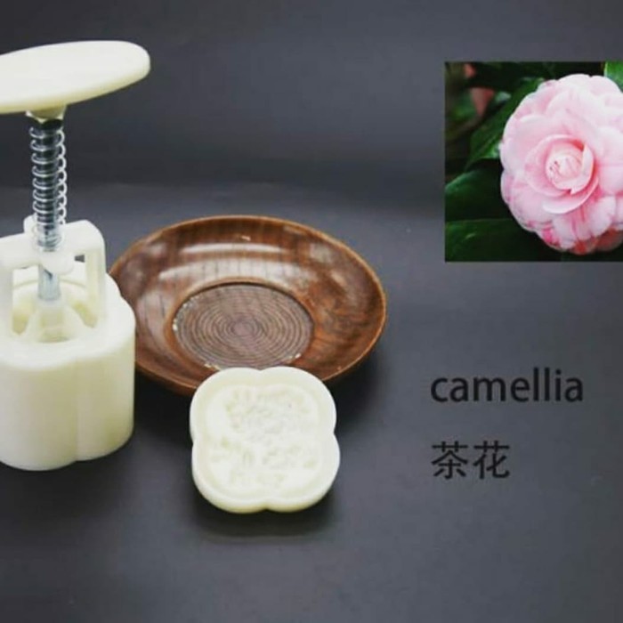 Cetakan Kue Bulan Nastar Taiwan Mould Mold/MoonCake Nastar Kue Kering 3D 50gr