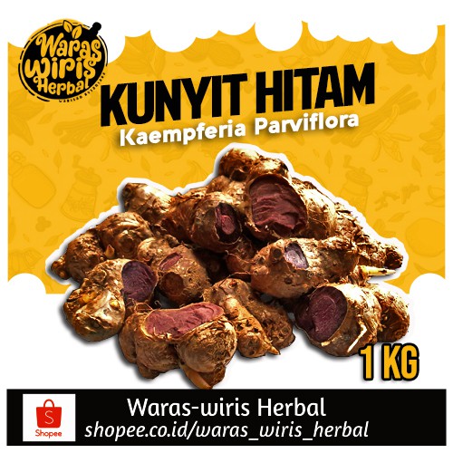 Rimpang Kunyit Hitam 1000 Gram ( Kaempferia Parviflora )