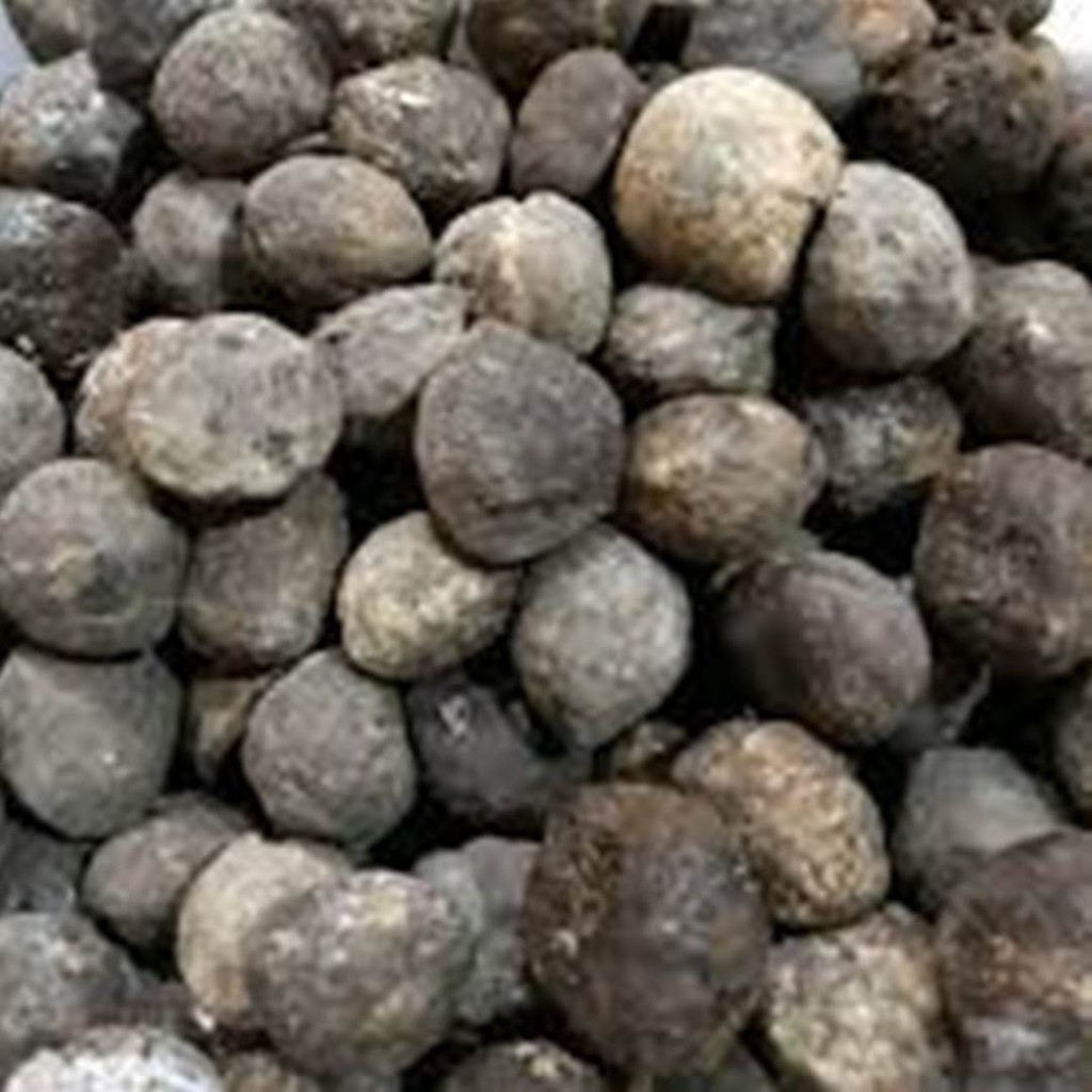 

100 gram Biji Kemiri Batok