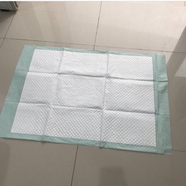 Dog pee pad isi 10