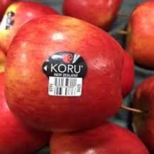 

BUAH APEL KORU USA (0,9 - 1 KG) APPLE FRUIT