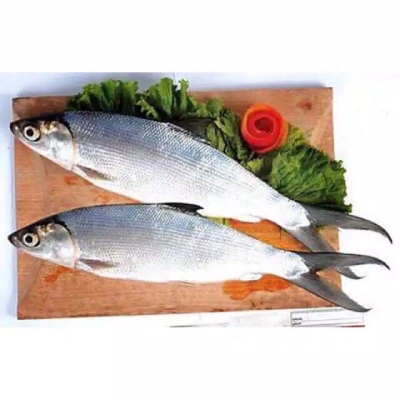 

ikan bandeng segar 2 ekor Pasar Segar Depok
