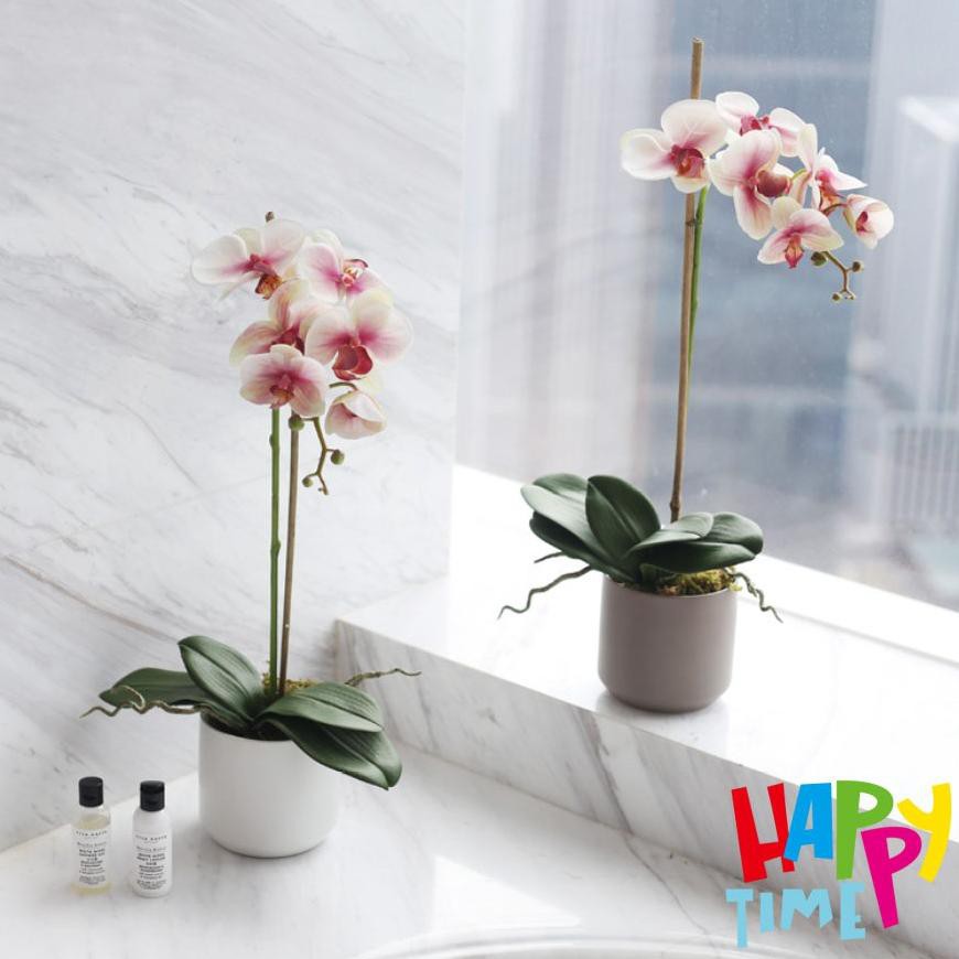 『Murah』 MYSTYLE ANGGREK ORCHID TANAMAN HIAS BUNGA PLASTIK BESAR BUNGA ARTIFISIAL MURAH