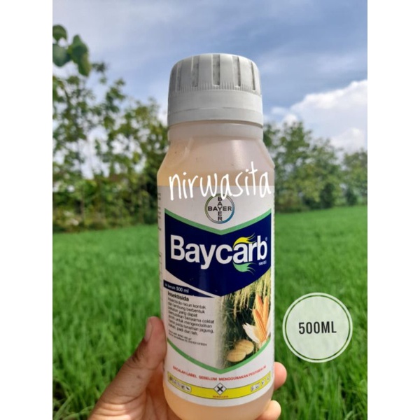 Insektisisa Baycarb 500EC