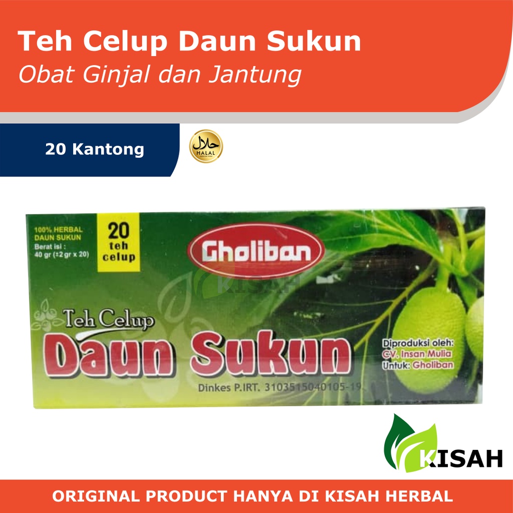 TEH CELUP DAUN SUKUN PREMIUM 20 KANTONG | OBAT PENYAKIT GINJAL, JANTUNG DAN GULA DARAH