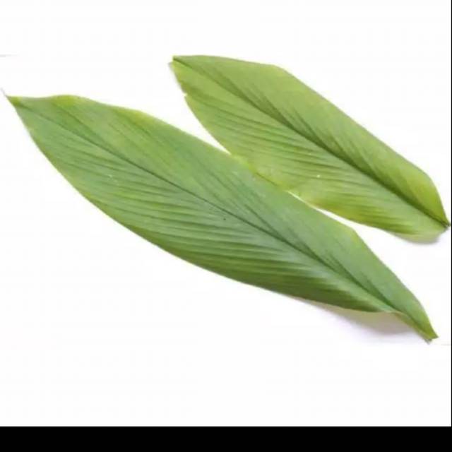

Daun kunyit fresh , organik tanam sendiri