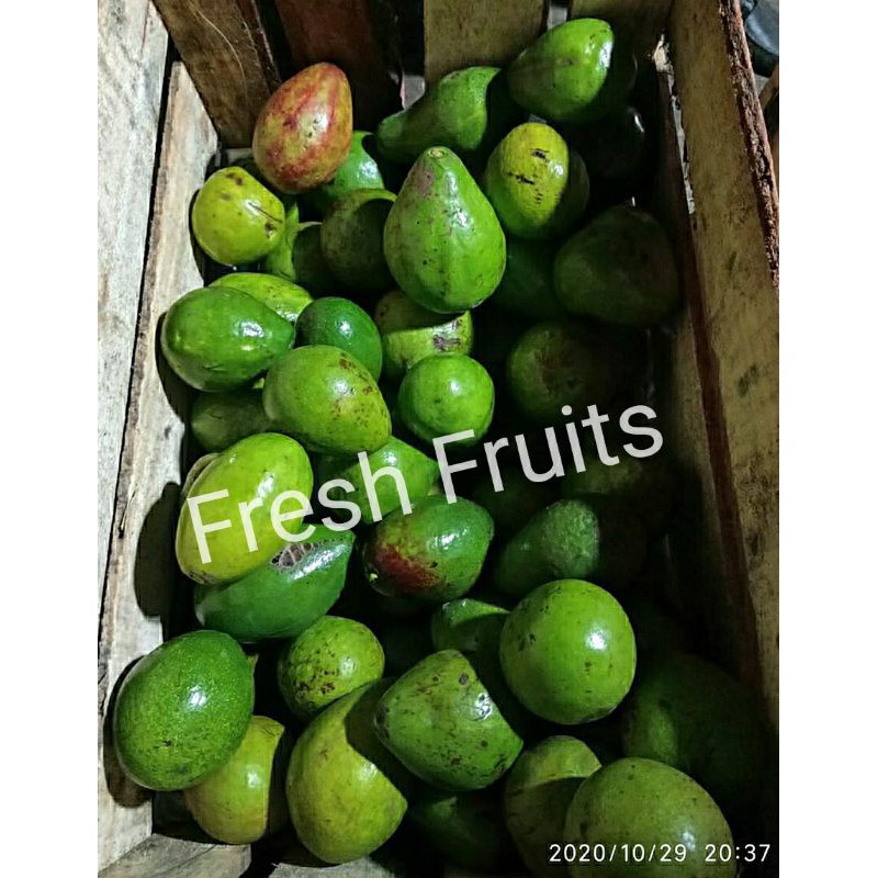 

Mangga Alpukat /kg