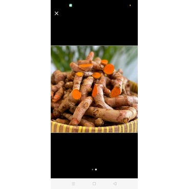 

kunir/kunyit/bumbu/obattradisional