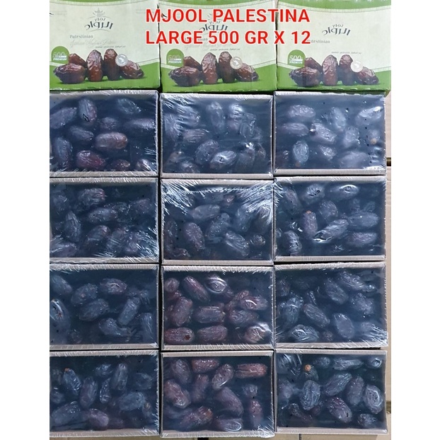 

Kurma Medjol palestine Large 500gr Isi 12 Pax