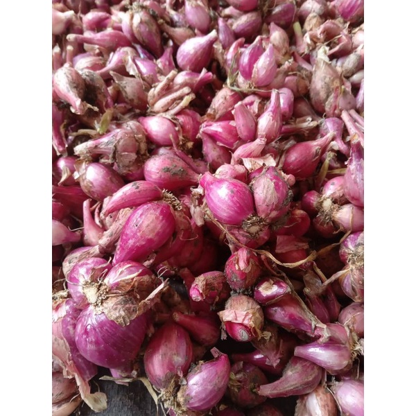 

Bawang merah super 250gr