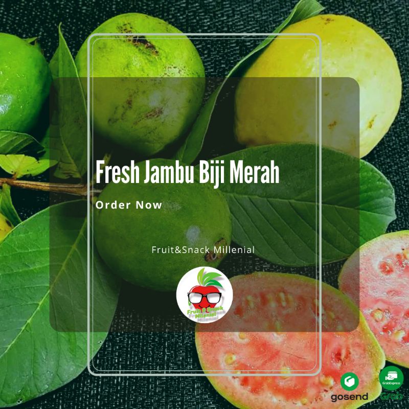 

Jambu Biji Merah Super Grade A 1 pcs