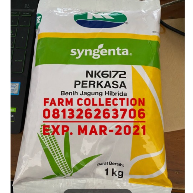 Benih Jagung Hibrida NK 6172 PERKASA 1 Kg Shopee Indonesia Benih Jagung Hibrida NK 6172 PERKASA 1 Kg Shopee Indonesia