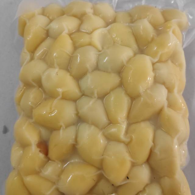 

Biji Ginko Biloba ( Bai Guo / Pek Koi )