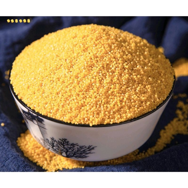 

Beras kuning / makanan sehat kaya serat 500gr 黄小米/promo beras kuning baru