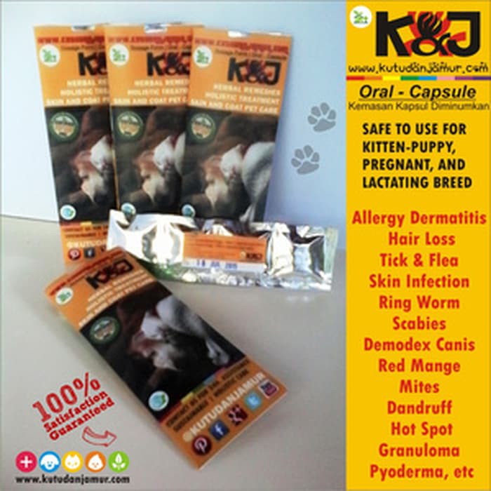 Sembuhkan Iritasi Kulit Karena Jamur Pada AnjingKucing Jamu KNJ kapsul
