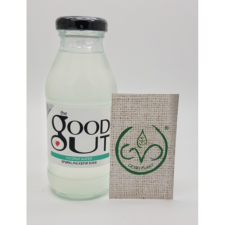 

Sparkling Kefir Soda : Coconut Water - 280g