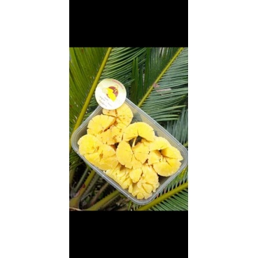 

SINGKONG KEJU MEKROK MRUPUL