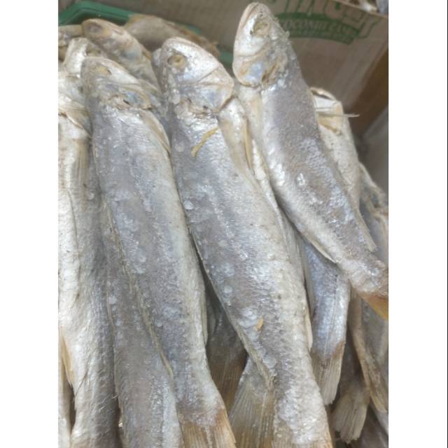 

Ikan asin samge 250g