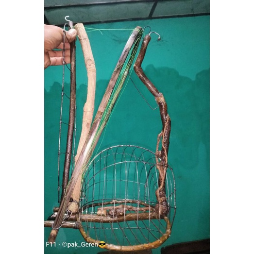 sangkar jebak/pikat burung perkutut,merbok
