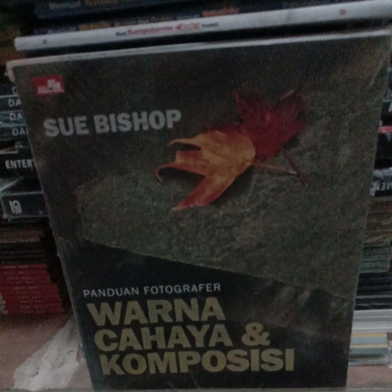 

BUKU PANDUAN FOTOGRAFER WARNA CAHAYA & KOMPOSISI SUE BISHOP