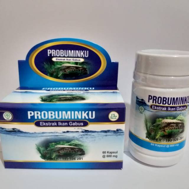 

Probuminku kapsul ekstrak ikan gabus