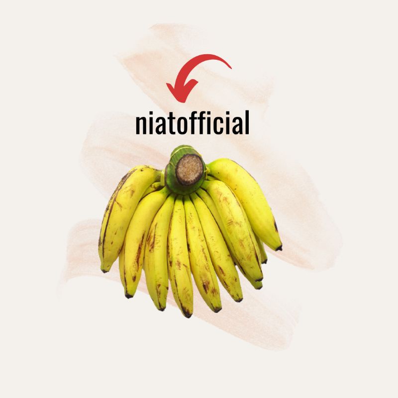 

Pisang Ambon 1 sisir