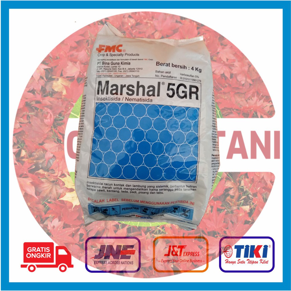Marshal 5 GR @ 4 KG