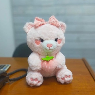 Boneka Bear Strawberry Size 12&quot;/30cm/boneka bear/boneka lucu/boneka teddy/