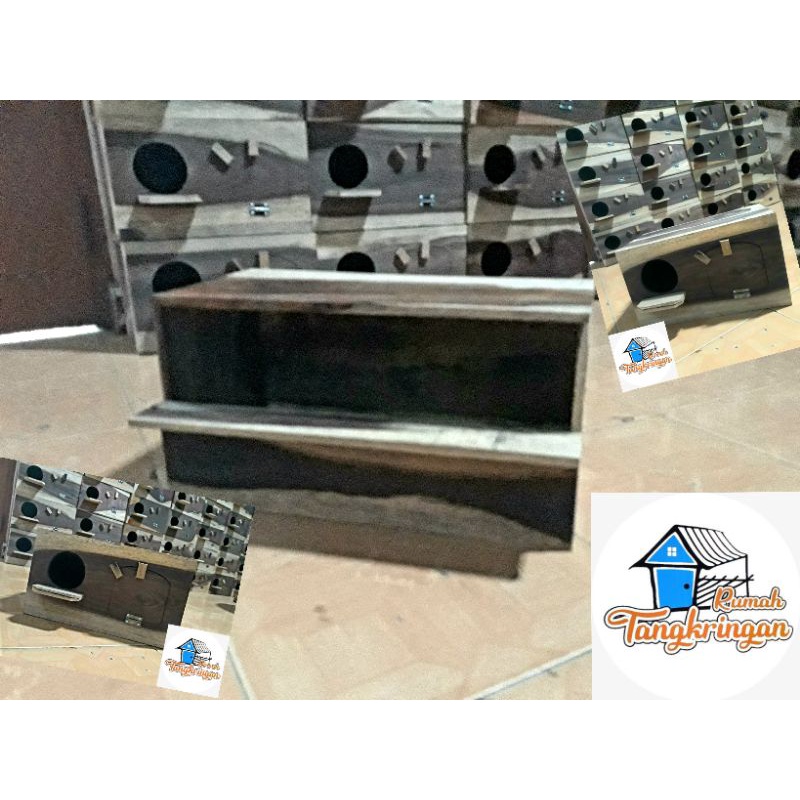 Glodok Murai, glodok Falk, glodok Nuri, glodok jalak