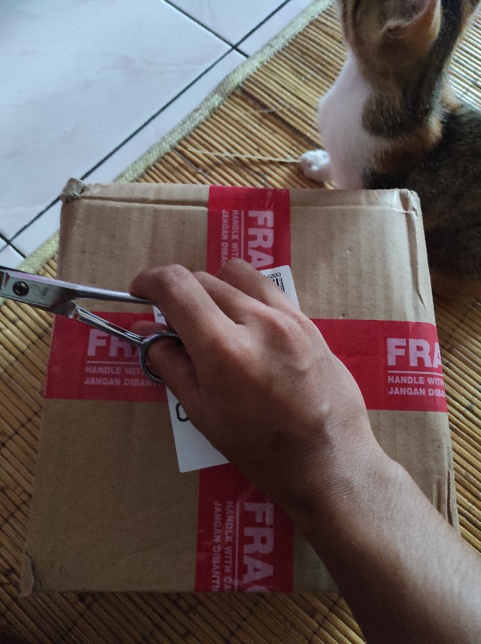 Box Ring/ Box Bearer Rustic Free Tulis Nama Terrarium Kaca Hantaran Nikah