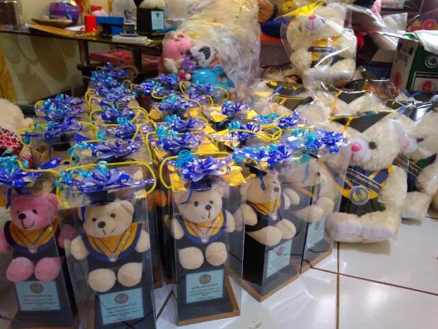 PIALA BONEKA WISUDA TEDDY BEAR 25CM PACKING KOTAK MIKA