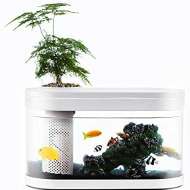 GEOMETRY FISH TANK MINI - AQUARIUM MINI