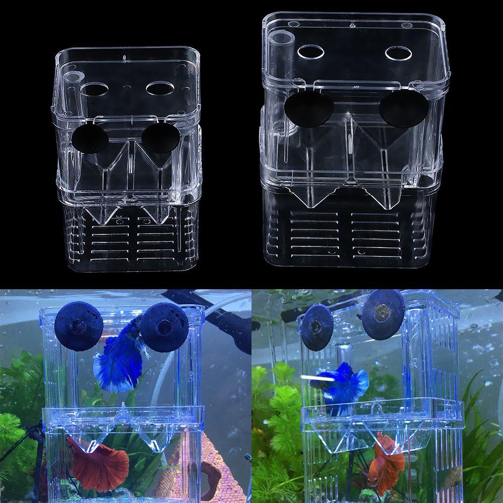 Chookyy Kotak Pembibitan Ikan Sekat Akrilik Yang Bermanfaat Double-Deck Hatching Case Isolasi Aquarium