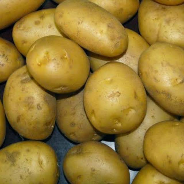 

Kentang 500 gr
