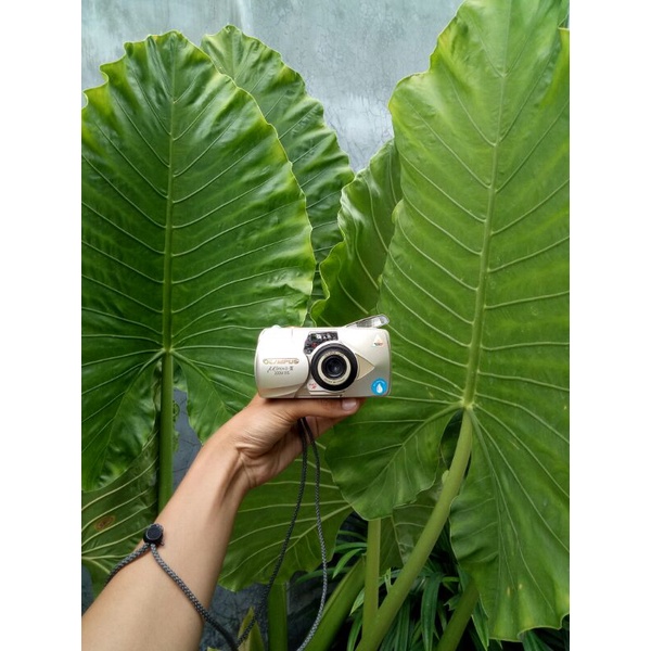KAMERA ANALOG POCKET OLYMPUS MJU II ZOOM 115