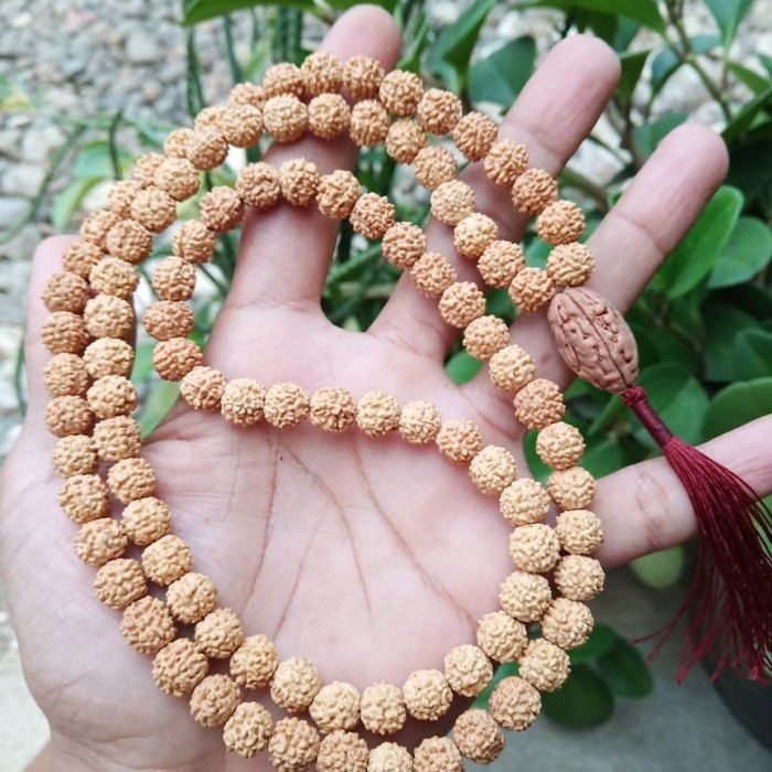 JAPAMALA 108 JENITRI RUDRAKSHA TASBIH GENITRI TASBEH