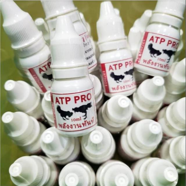 ATP PRO - Doping Vitamin Khusus Ayam Aduan