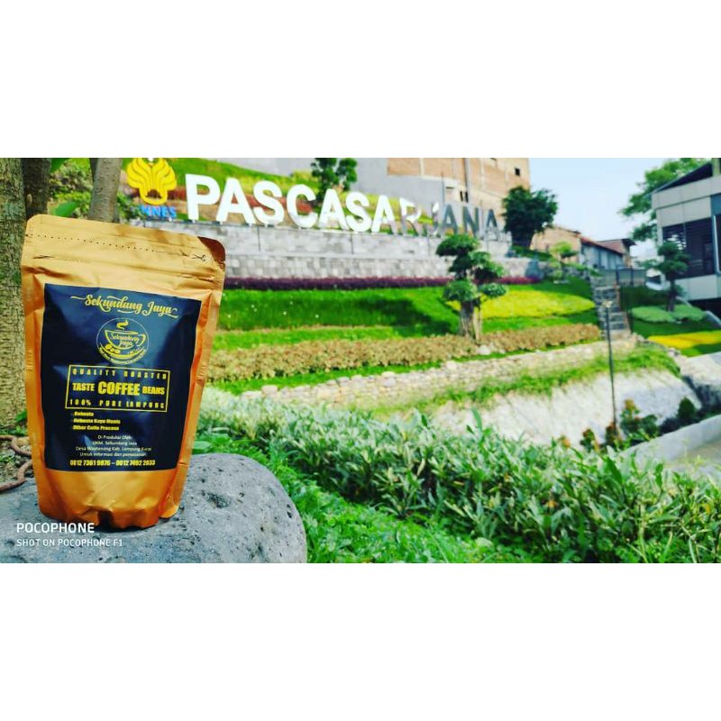 

Kopi Lampung