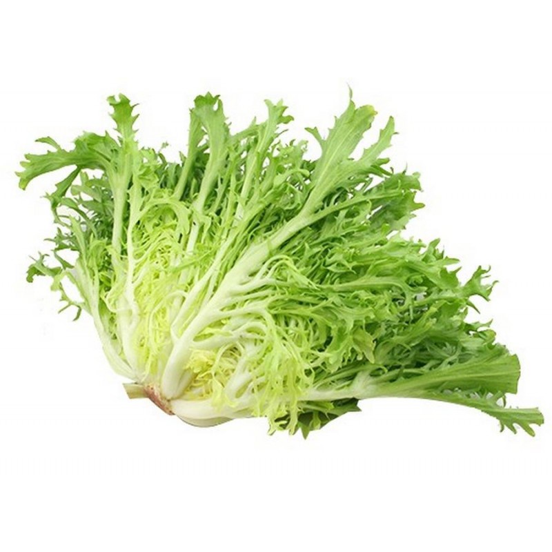 Selada Endive Organik 200gr