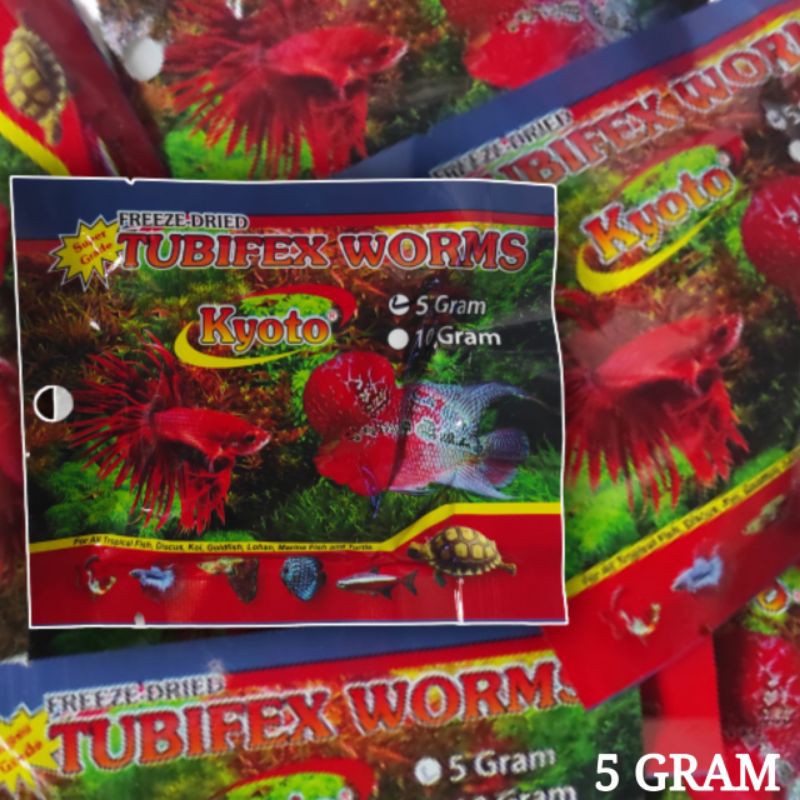 Cacing beku/Pakan baby channa