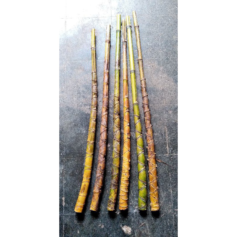 Bambu Cendani Sisik Naga