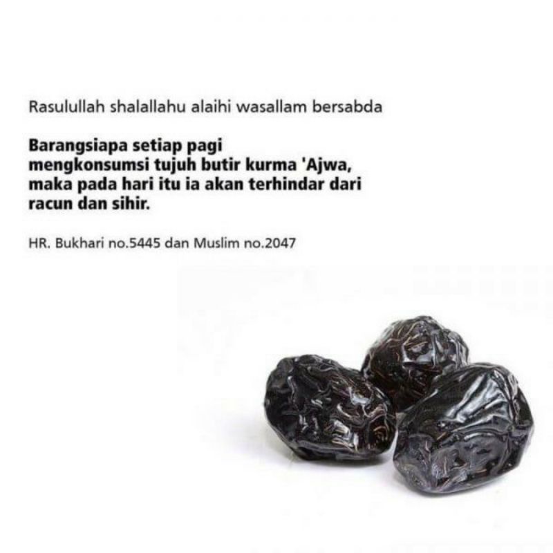 Kurma Nabi Ajwa Al Madinah Penangkal Sihir Racun 1 Kg