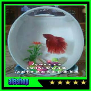 Aquarium Susun Ikan Cupang Ikan Kecil Ikan Hias Ikan Guppy
