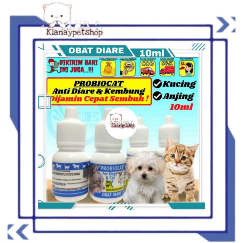 Obat Kucing Mencret Diare Gangguan Pencernaan Priobiocat Obat Diare Vitamin pencernaan / Obat mencre